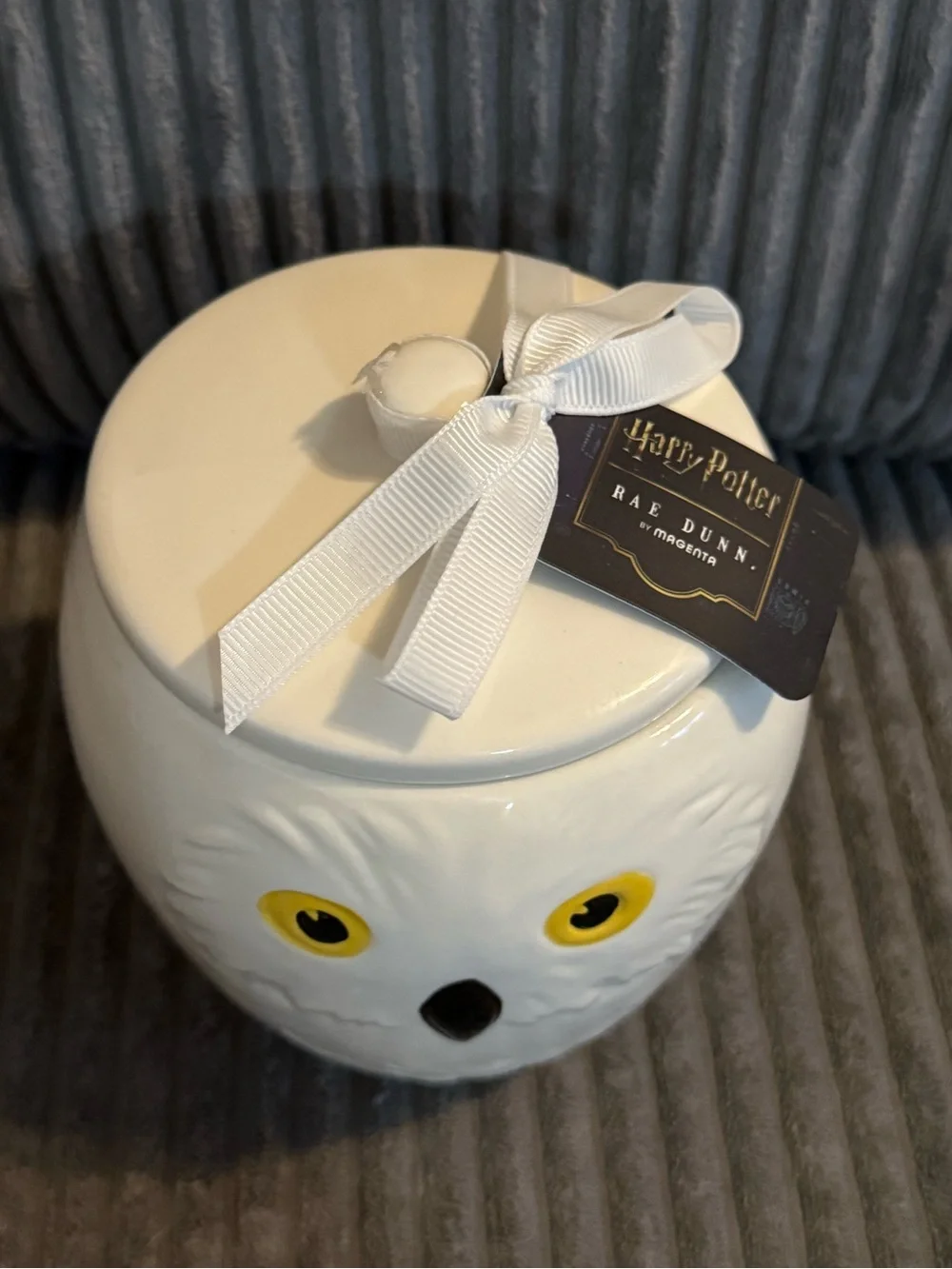 Rae Dunn x Harry Potter White Ceramic Jar: HEDWIG NWT
